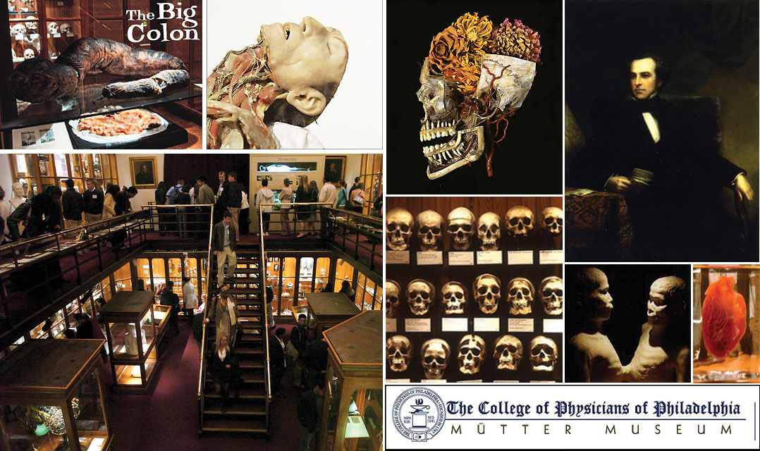 Странните места по света: Музея 